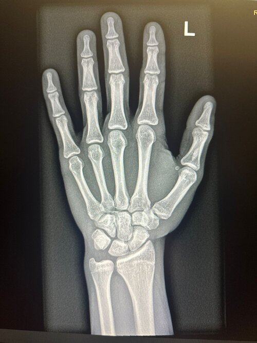 WhatsApp Image 2025-12-04 at 17.30.44.jpeg