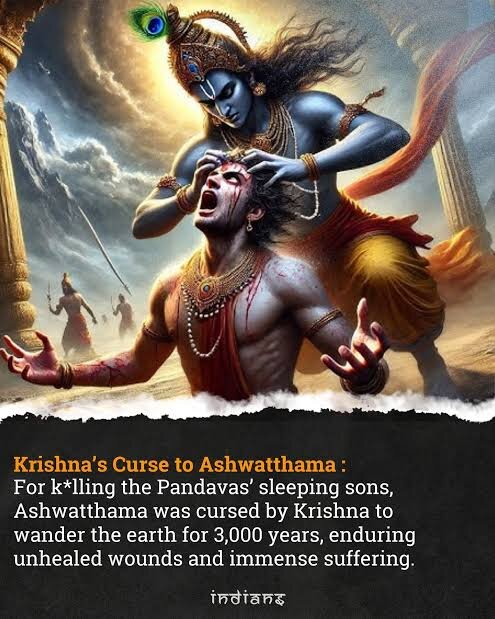 images (1) (13).jpeg