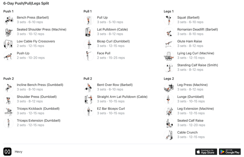 6 day push pull legs split 1024x659