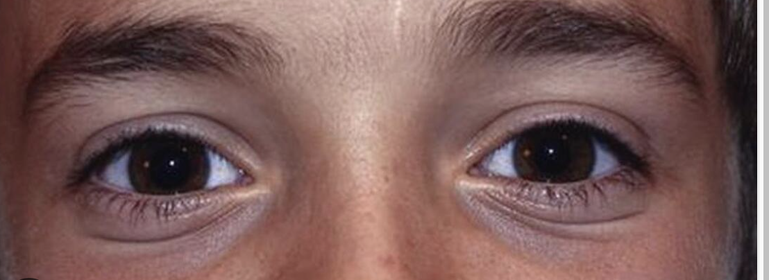 Screenshot 2025-12-12 at 15.11.23.png