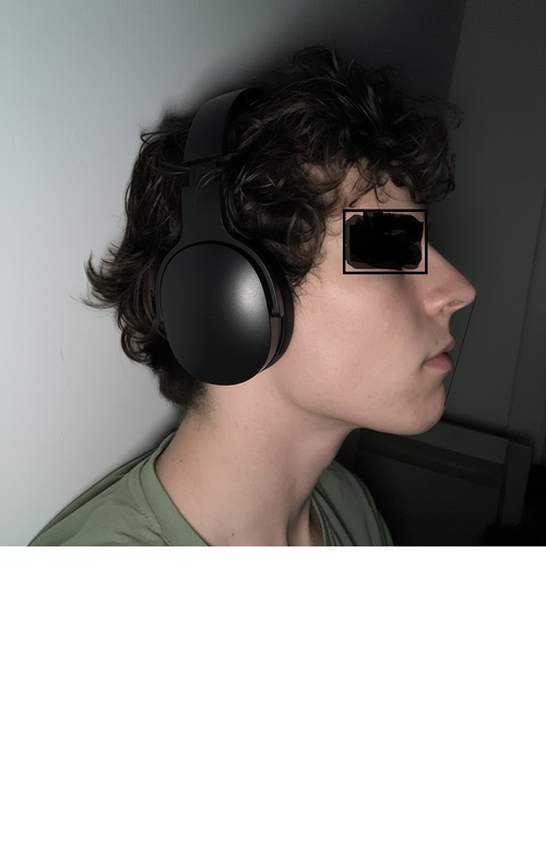 side profile ascension org.png