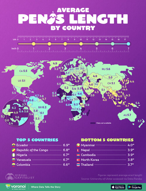 Penis-length-by-country_WEB.jpg