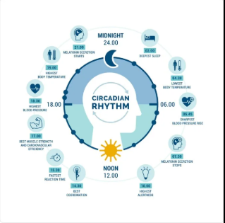 Screenshot 2025 12 18 11559 AM