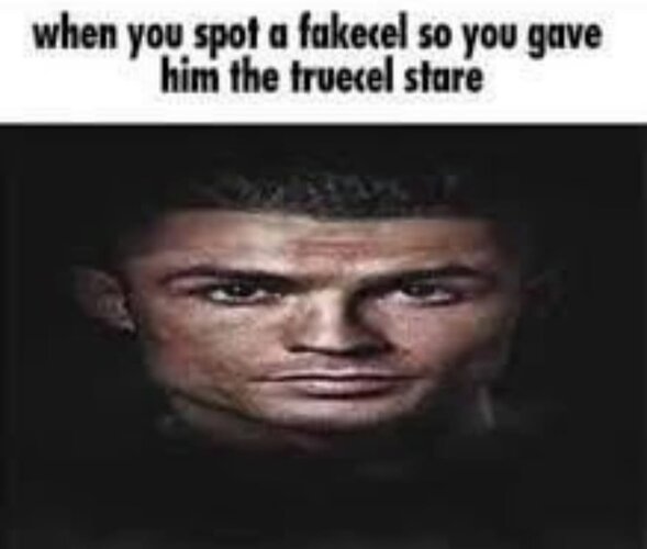 Screenshot 20250812 074035