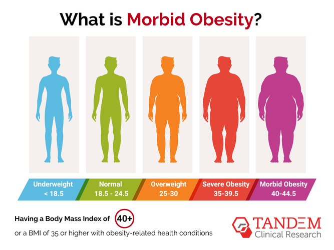 bmi-chart-morbid-obesity.webp