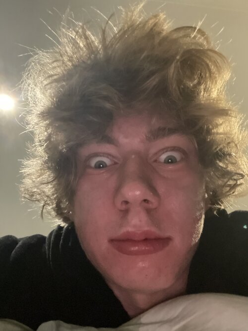 image.jpg