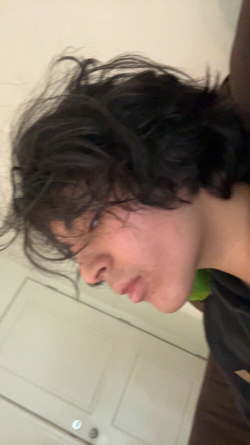 IMG 0405