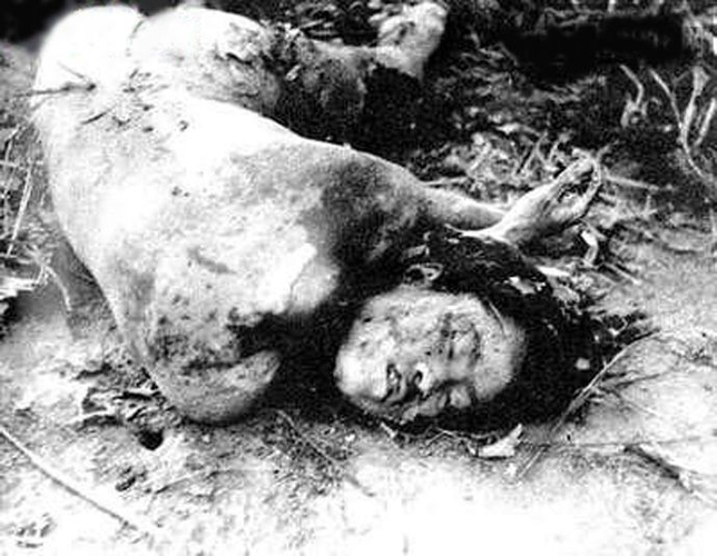 3421689 1684598226118