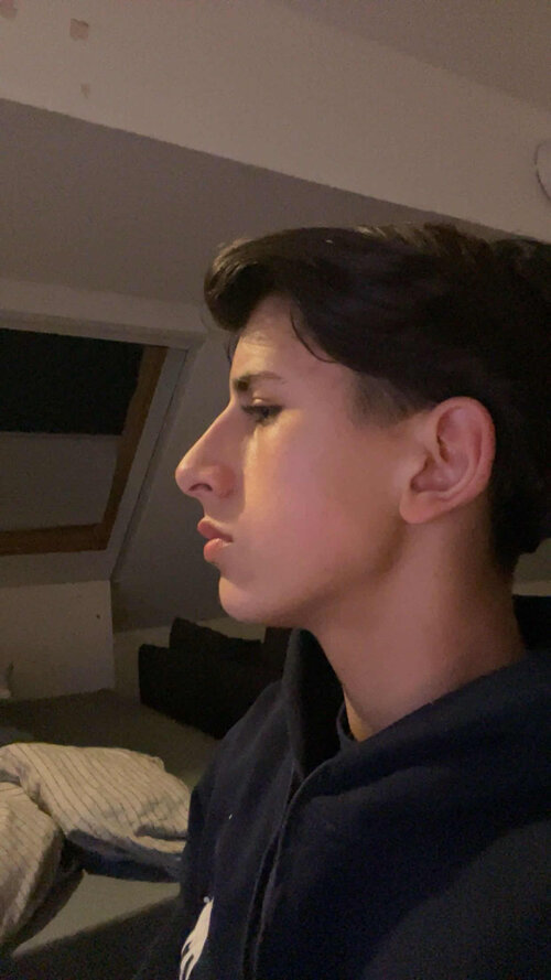 looksmax 4.jpg