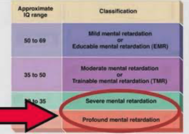 Screenshot 2025-12-28 at 11.19.24 PM.png