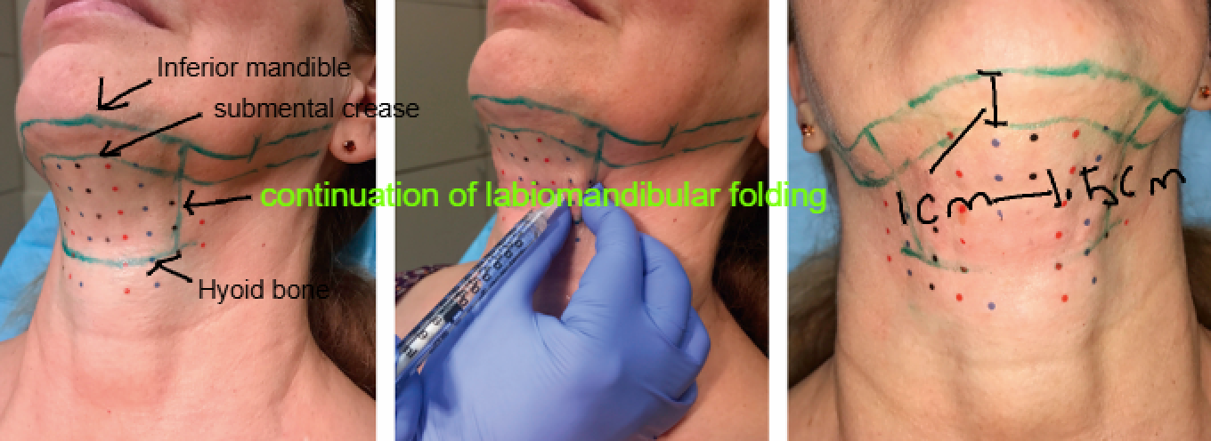 Screenshot 2025 12 29 013547