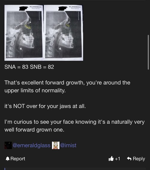 IMG_1962.jpeg