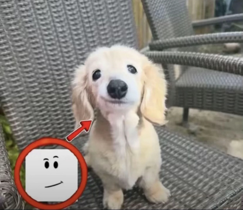 Happy dog roblox smile
