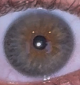 Screenshot 2026 01 02 000628