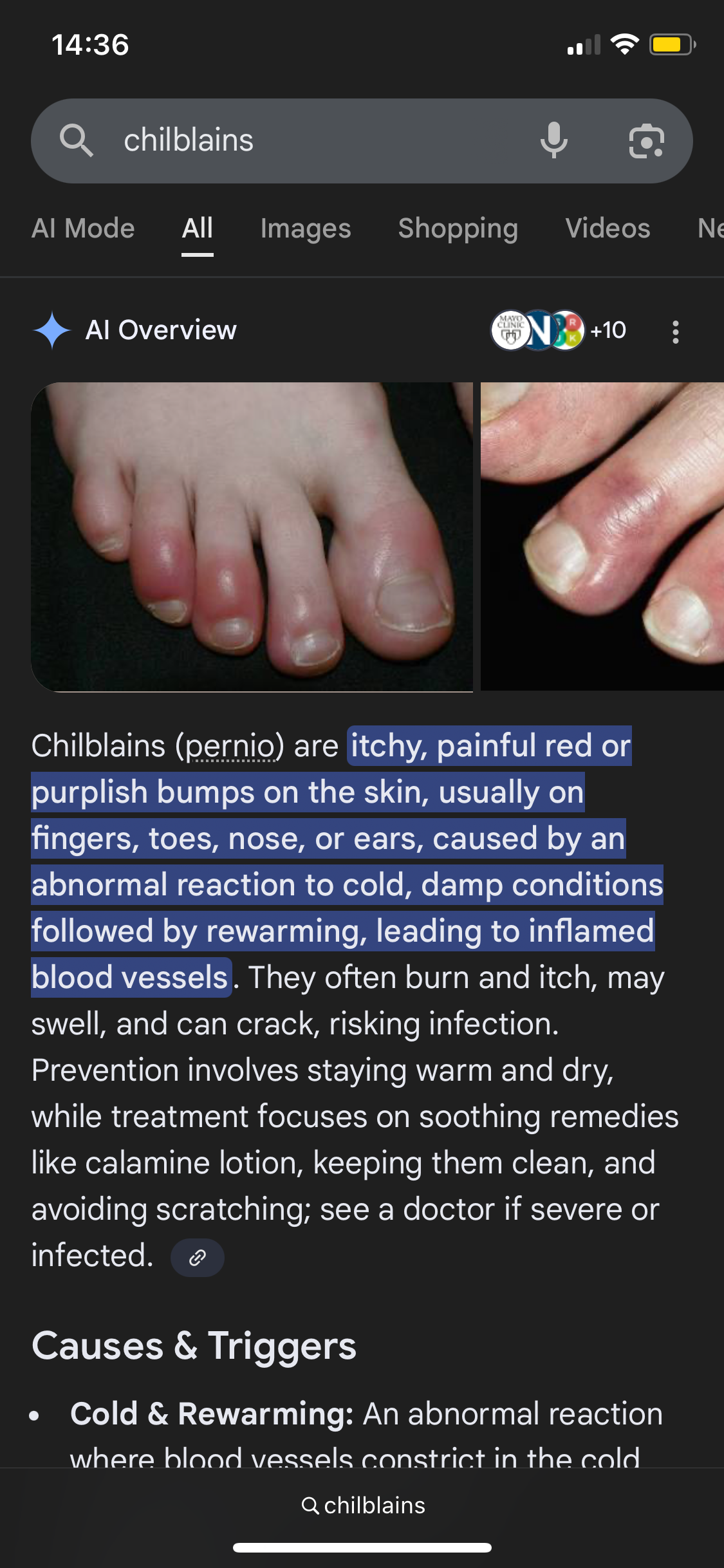 IMG 5310