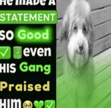 5687484 1766704746125