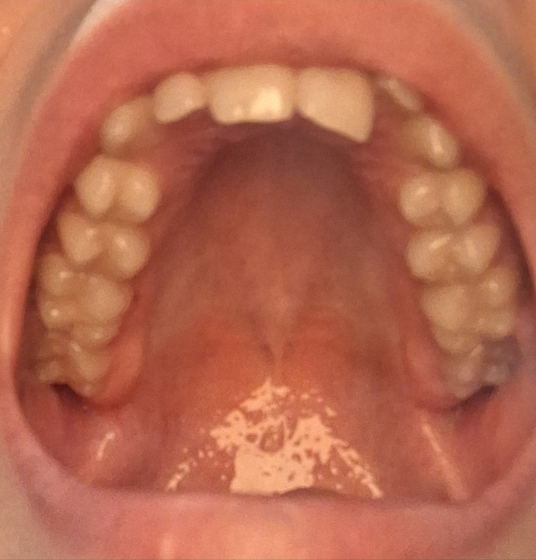 Screenshot 20260102 223130 Gallery