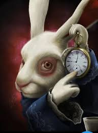 Time rabbit