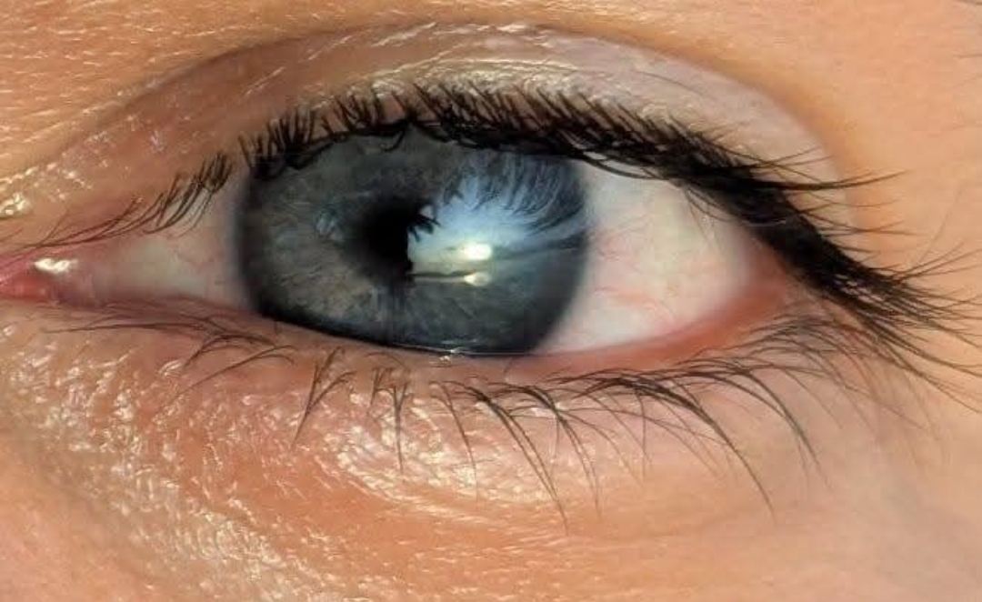 Screenshot 2026 01 03 02 46 16 159 comfacebookkatana edit