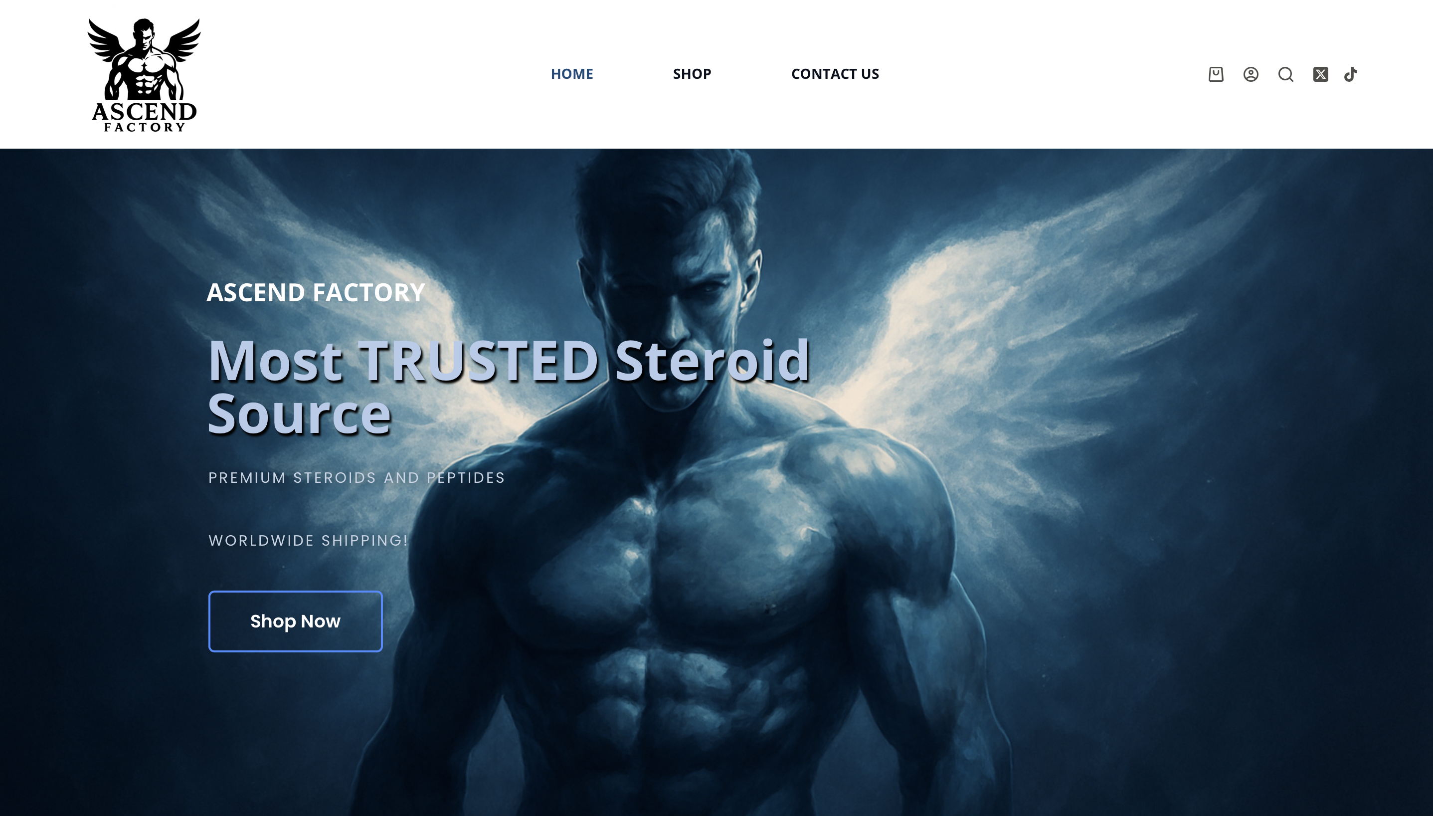 Screenshot 2026 01 03 at 014609