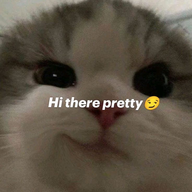 1000007537