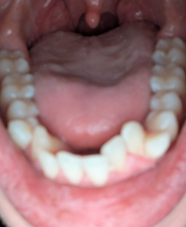 Screenshot 2026 01 03 172821   Copy