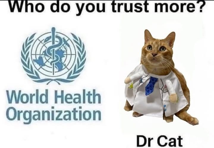 1000007547