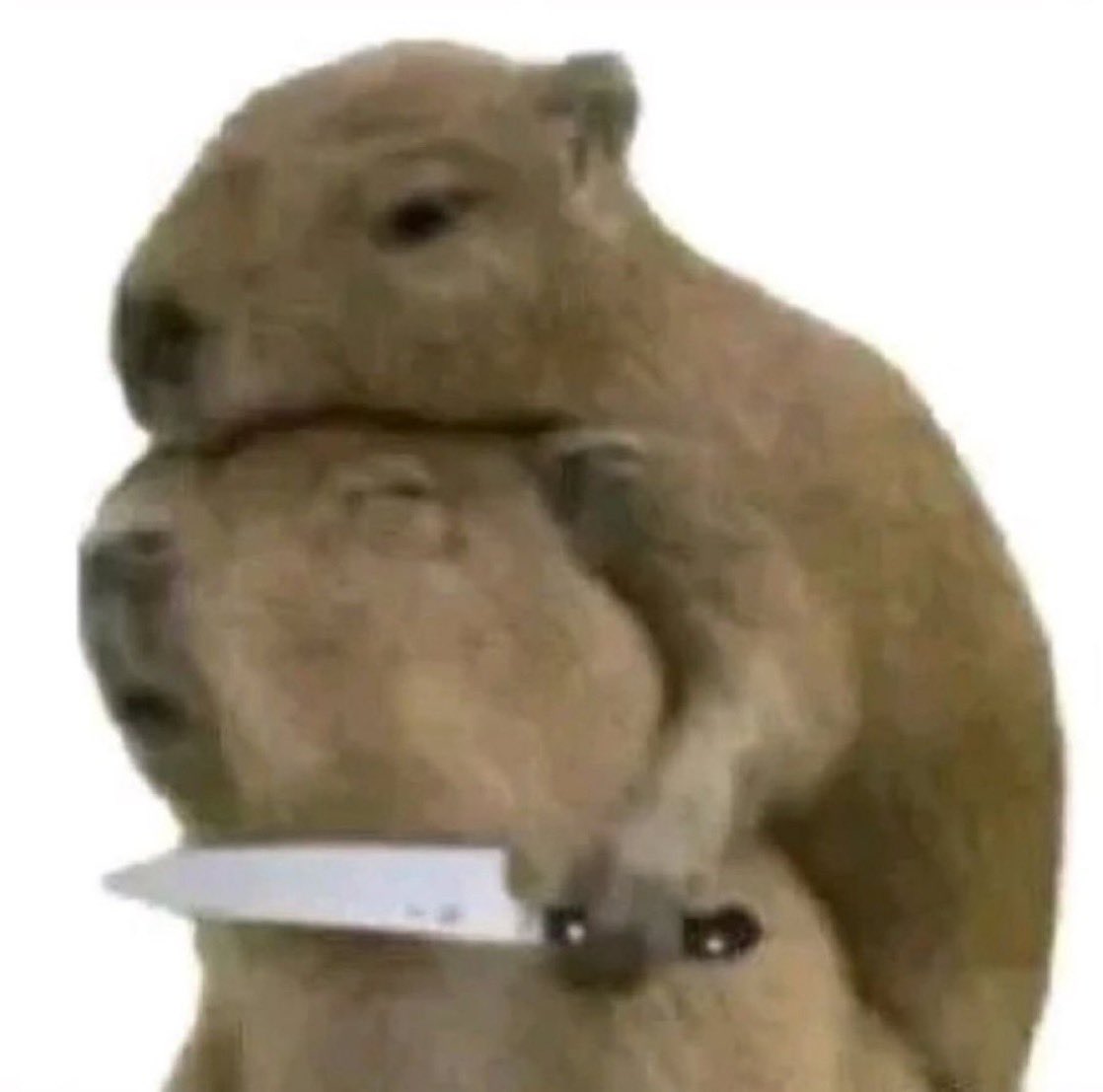 5639790 5635932 95207135 DE2E 4B87 B648 A57B91EEFC19