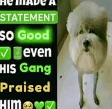 Good For Him GIFs | Tenor