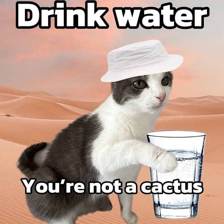 1000007569