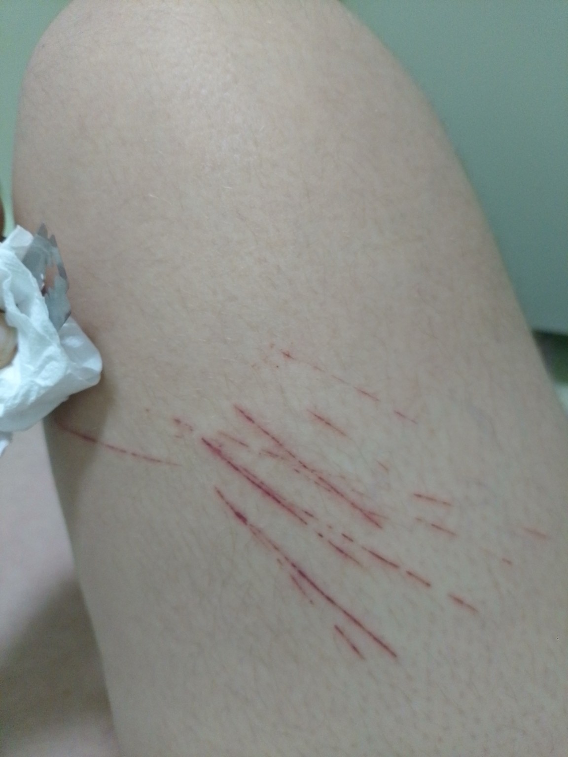 File 00000000a7e071f78c2c6aef816211a5