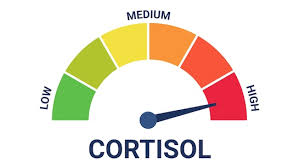 ‪Whats Raising Your Cortisol? Nutritionist Lists Everyday Habits That  Secretly Spike This Hormone‬‏