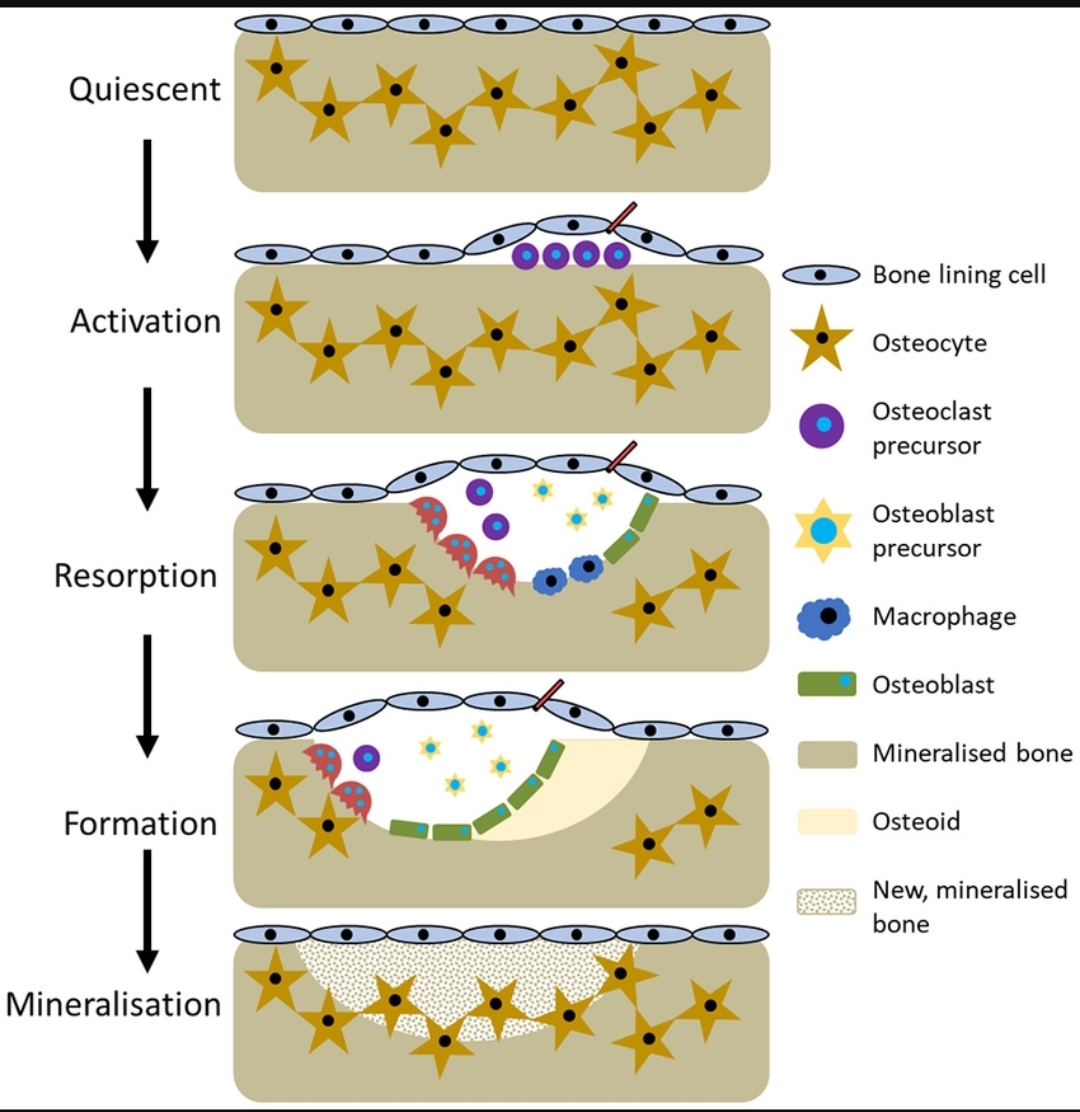 Screenshot 20251223 160858 Chrome