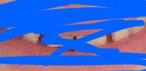 1767631996209