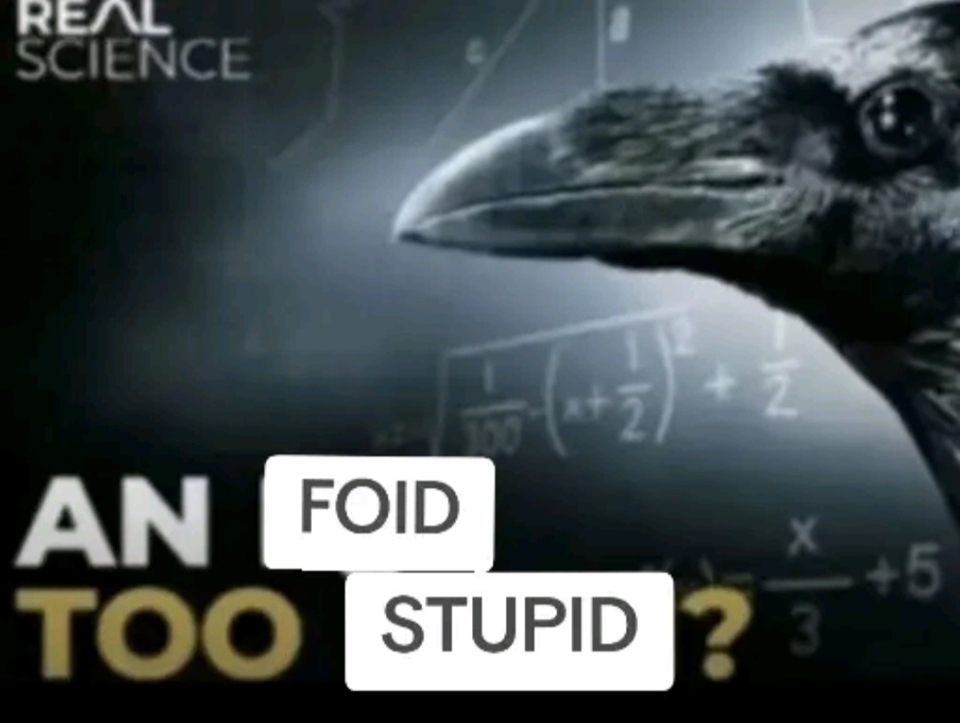 Screenshot 20260105 225747 TikTok