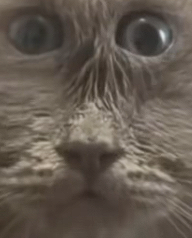 Image 2026 01 06 183721389