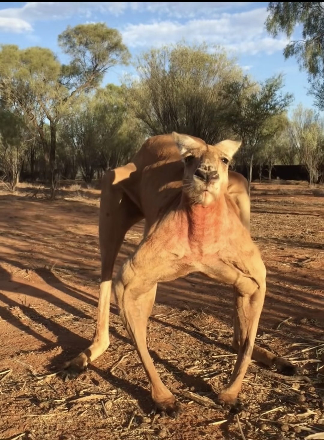 Screenshot 20260107 102546 TikTok