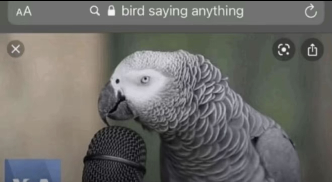 AISelect 20251215 071159 TikTok