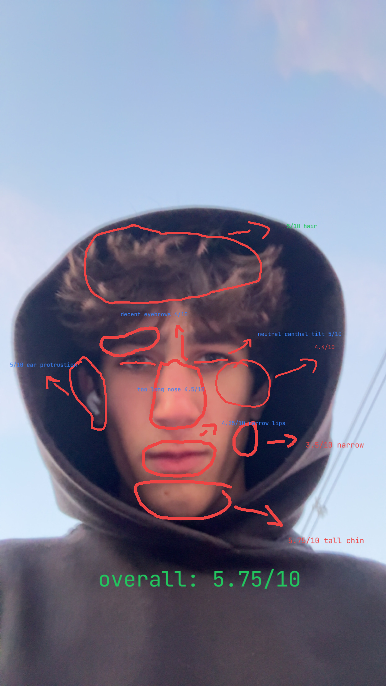 1767844349142