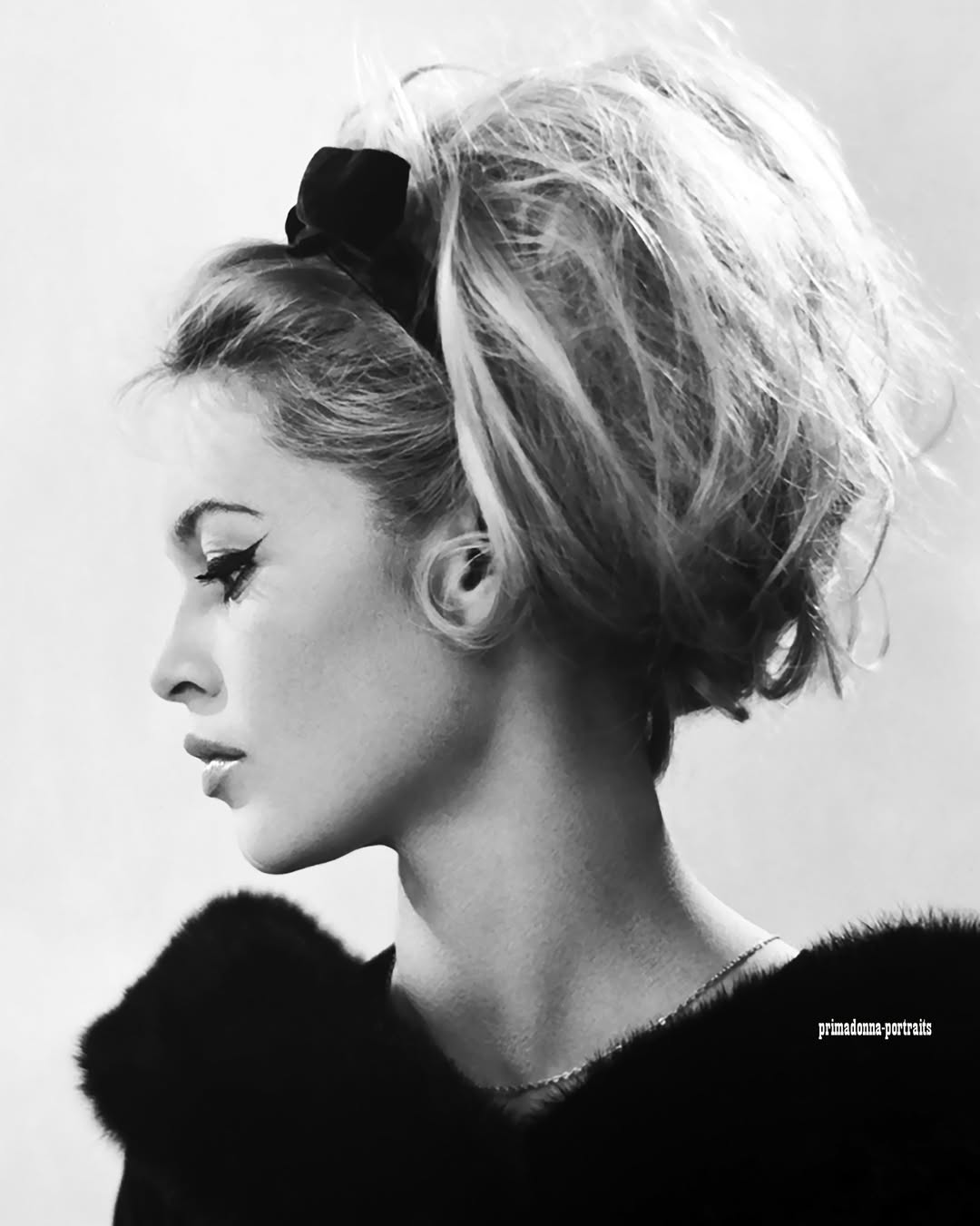 497908356 1265980845527935 2507985360900934626 n