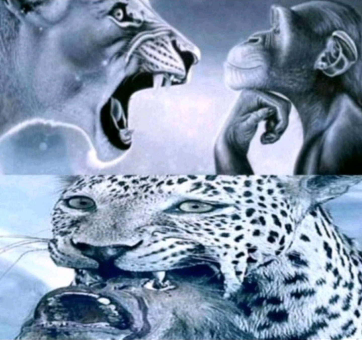 Screenshot 20251222 145229 TikTok