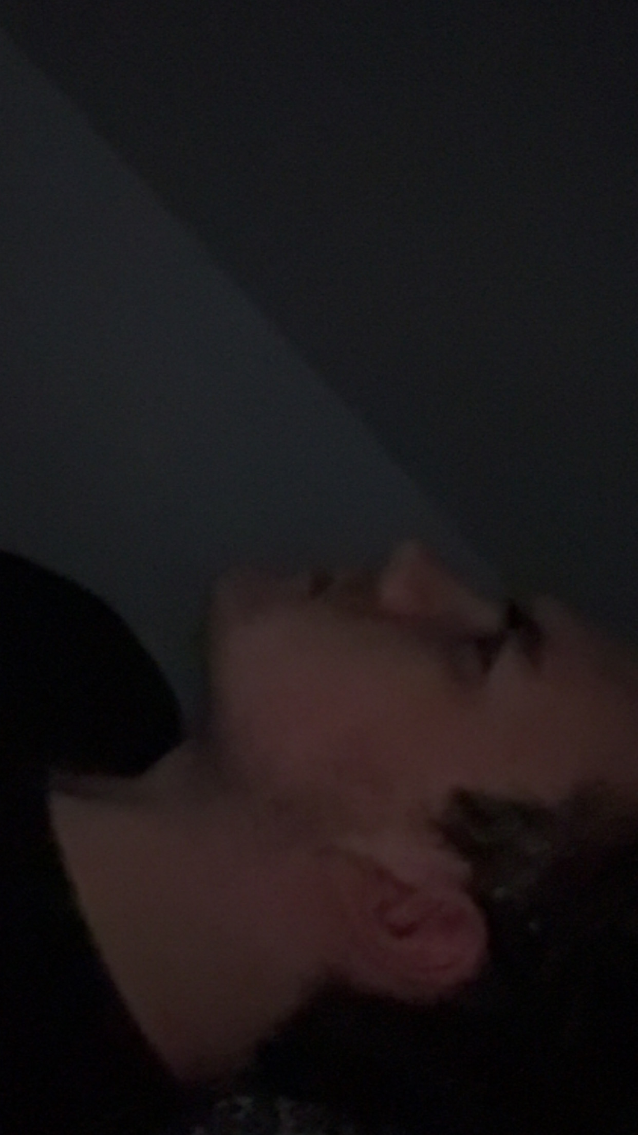 IMG 0258
