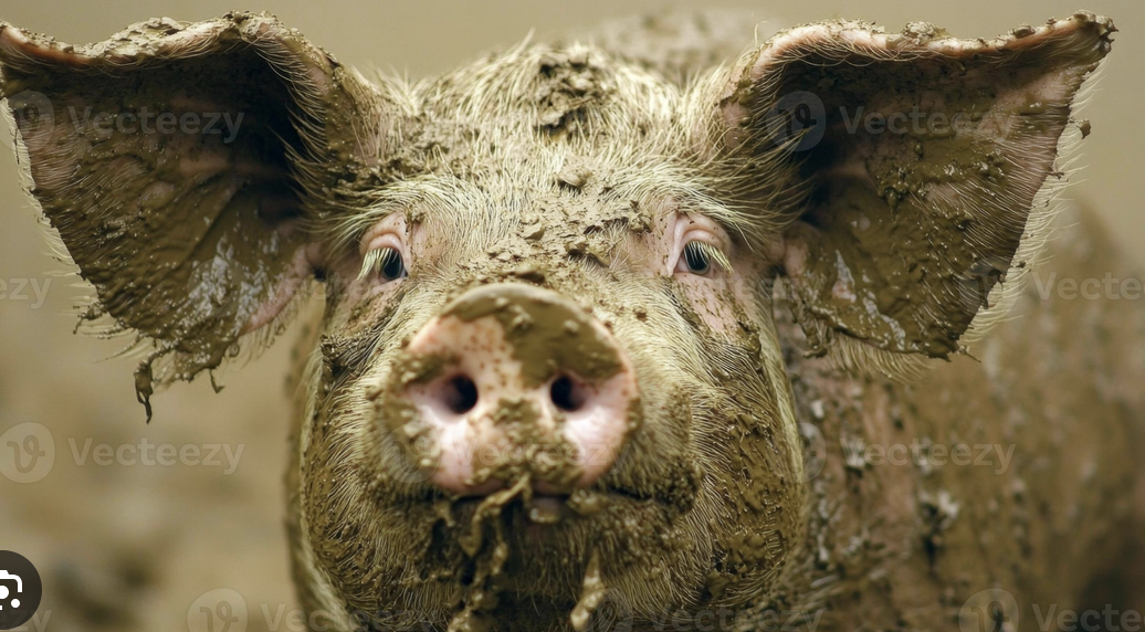 Screenshot 2026 01 10 at 115851