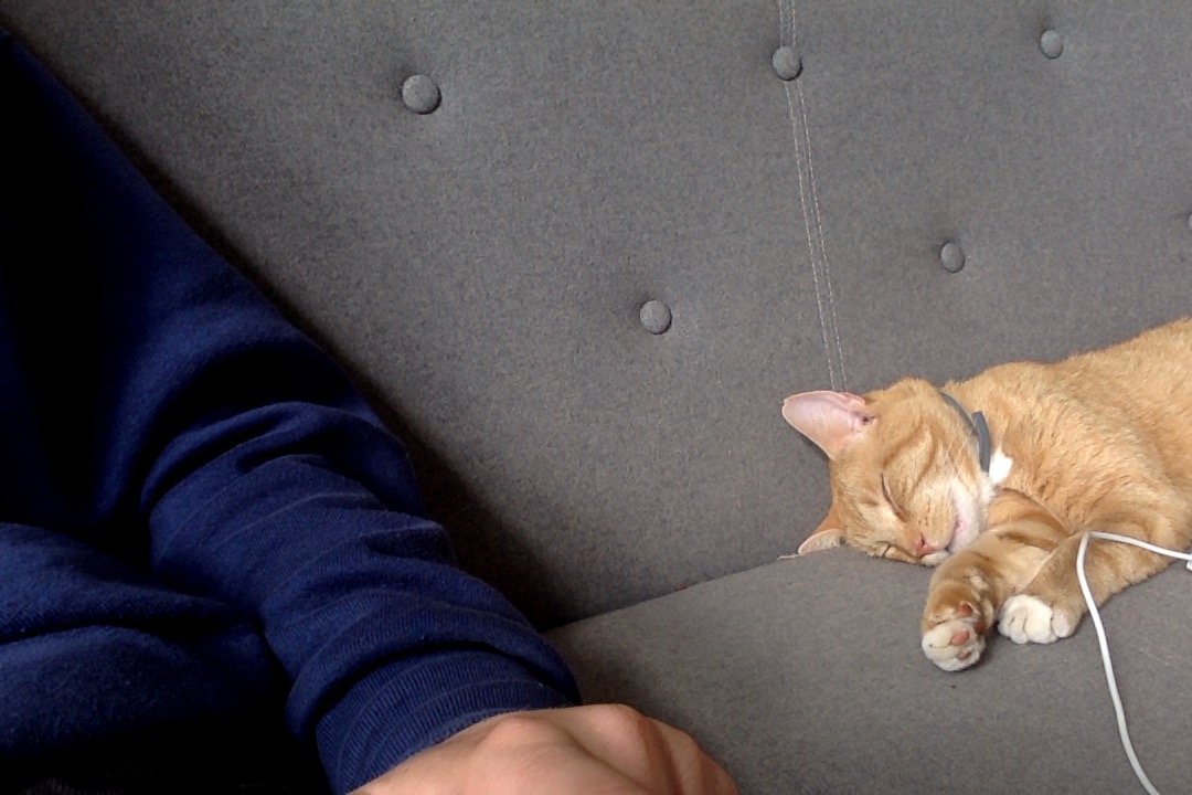 Photo on 22 08 2025 at 1711