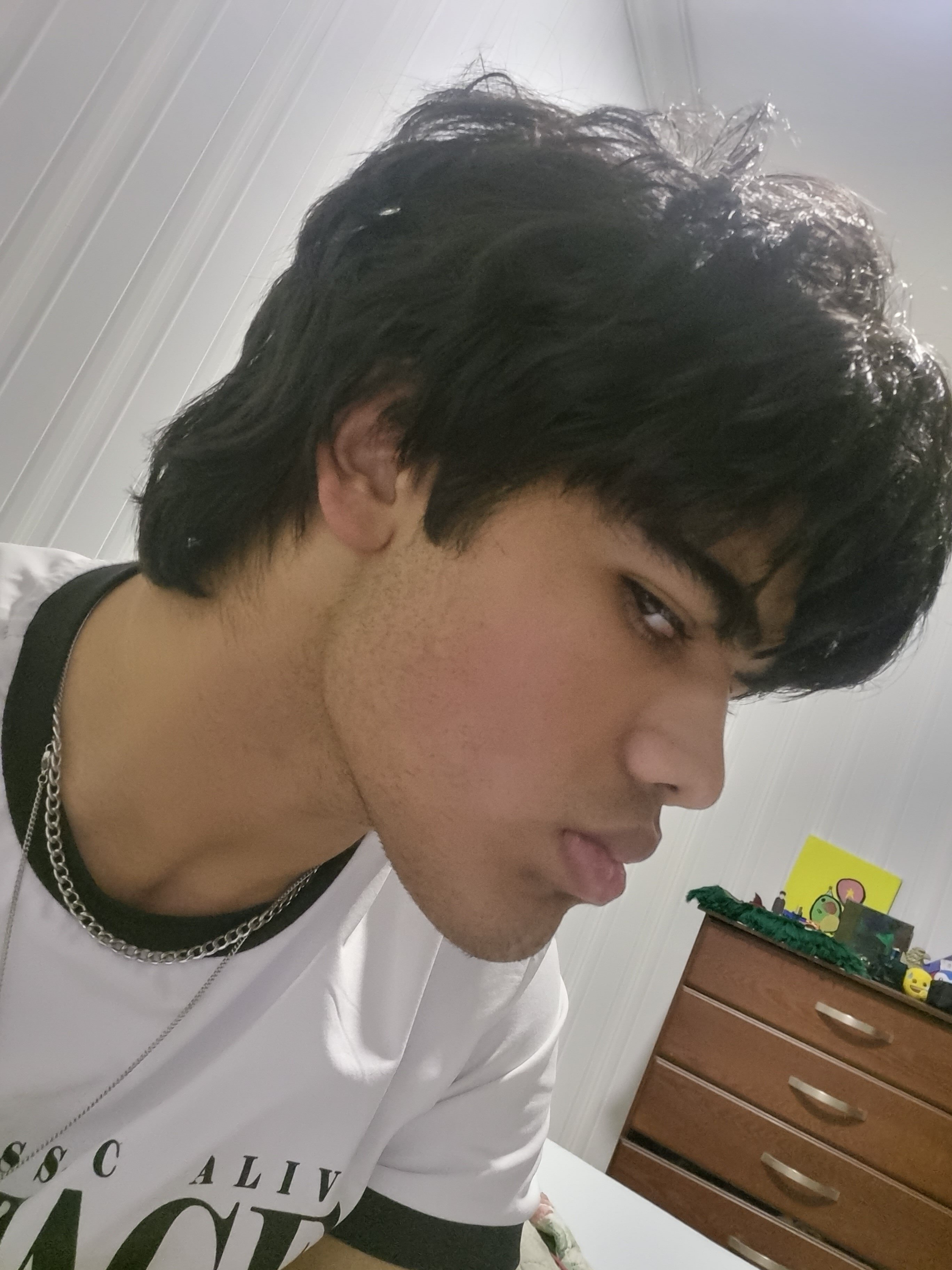 17680705134726423701301315516916