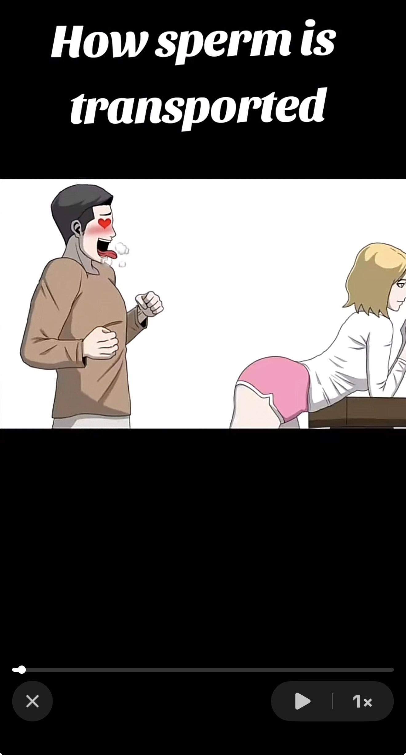 IMG 2018