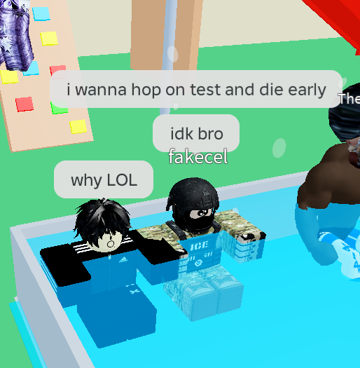 RobloxScreenShot20260110 231447188