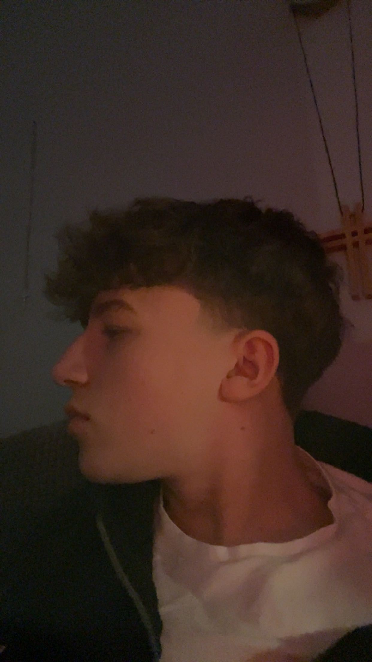 IMG 2397