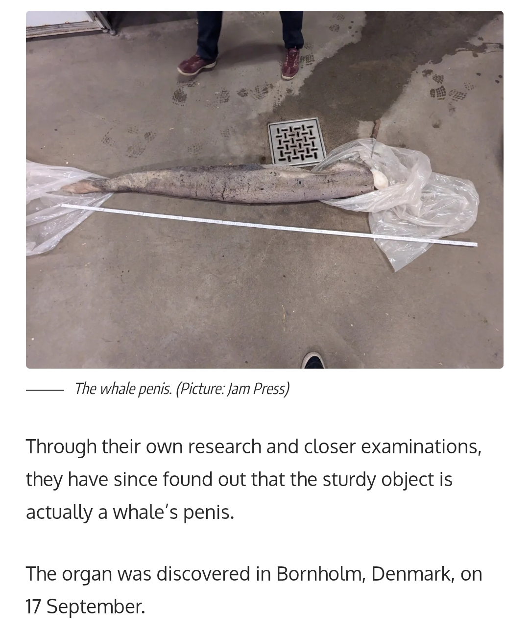 Screenshot 20260112 023222 Chrome