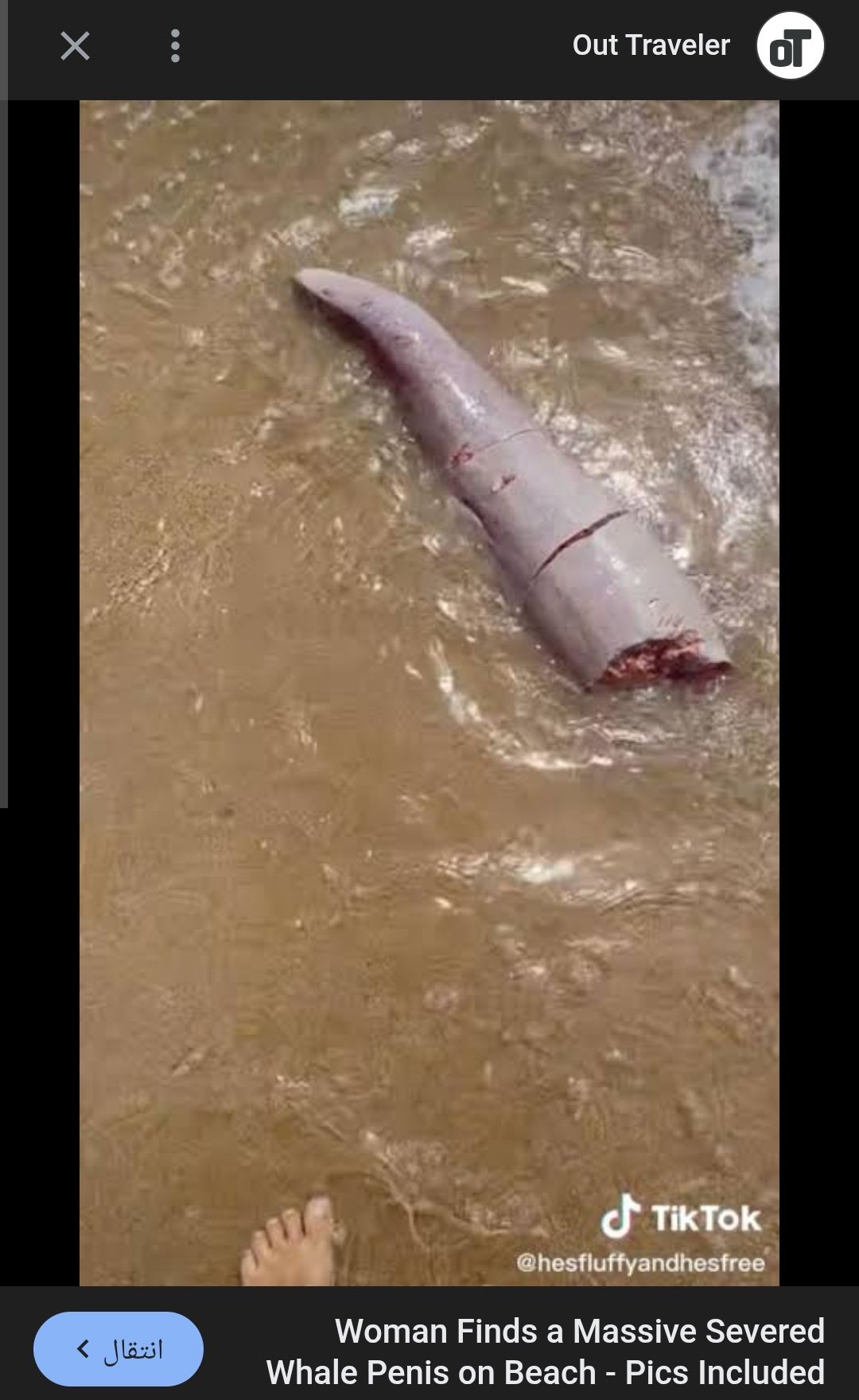 Screenshot 20260112 023303 Chrome